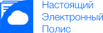 НЭП - Настоящий Электронный Полис НЭП - Настоящий Электронный Полис
