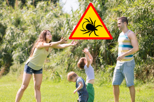 "Антиклещ" - смотреть все акции